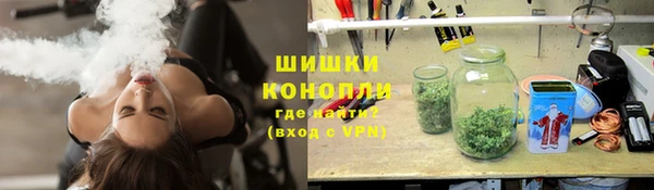 МДПВ Горнозаводск