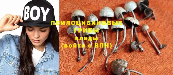 МДПВ Верхний Тагил